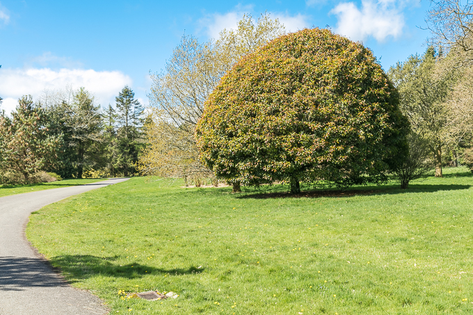 Kennedy Park 2018 (009)